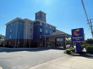 Image of Comfort Inn Emporia
