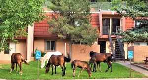 Image of Pinecliff Village
