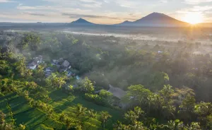 Image of Aksari Luxury Resort & Spa Ubud by Ini Vie Hospitality