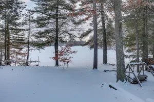 Image of Pet-friendly Rhinelander Escape On George Lake!