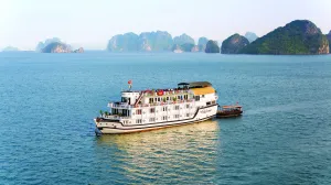 Image of Paloma Cruise