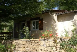 Image of Domisiladore