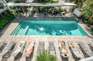 Image of Jacaranda Noosa