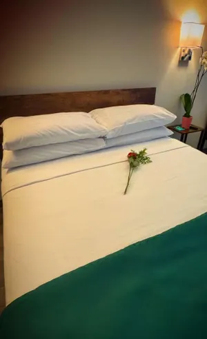 Image of Nova Hotel JFK