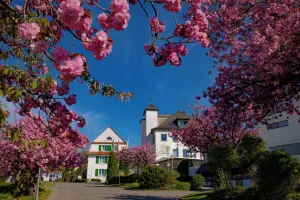 Image of Parkhotel St.Leonhard