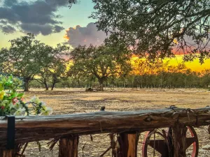 Image of Cowboys and Angels RV Park, Cabins, and Events