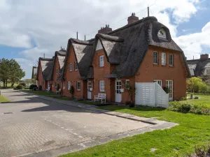 Image of Apartment with fireplace in a thatched-roof condo
