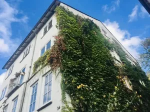 Image of Gästezimmer am Weinberg Kassel