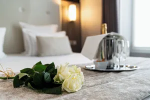 Image of Hotel de la Paix Tour Eiffel