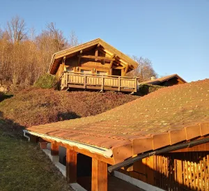 Image of Magnificent Chalet in Lotharingen With Terrace