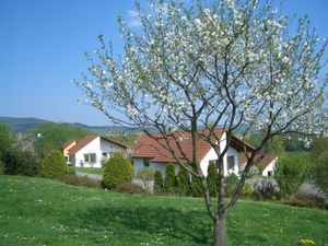 Image of Detached single-storey bungalow with terrace