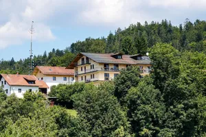 Image of DAS PALMBERGER