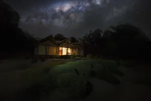 Image of Alure Stanthorpe