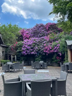 Image of Hotel Zur Mühle