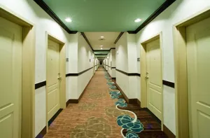 Image of Hampton Inn & Suites Denison