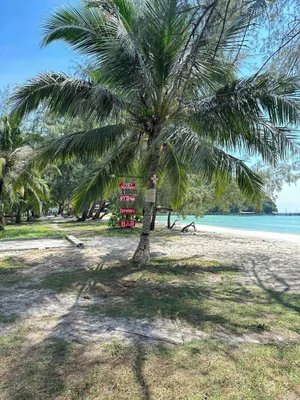 Image of Cozy Beach Hostel
