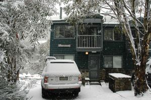 Image of Three Bears 3 - Thredbo