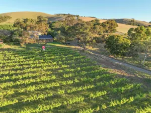 Image of Blickinstal Holiday Retreat
