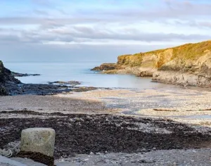 Image of Stop Tide