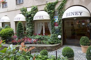Image of Hotel Biney
