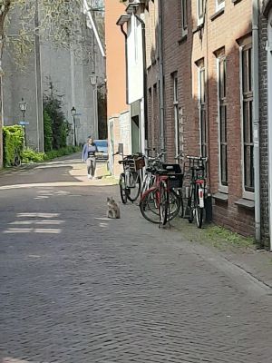 Image of Stadslogement Bij de Sassenpoort