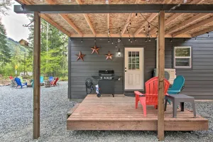 Image of Cozy Cabin - 5 Miles to Mt Rainier National Park!