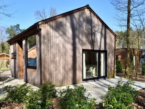 Image of Zutendaal Forest Retreat