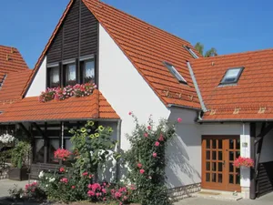 Image of Rose Ambience Modern Retreat