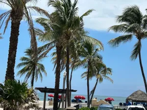 Image of The Pearl Beachside Apartments on Hollywood Beach