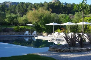 Image of Du Côté Des Olivades
