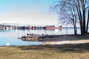 Image of Beach Harbor Resort