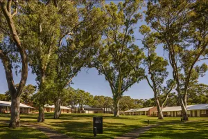 Image of Serafino McLaren Vale