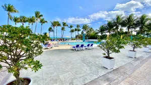 Image of Seacoast by Miami Ambassadors