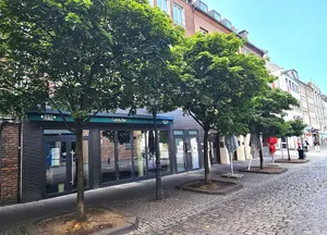 Image of Old Town Apartments