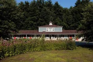 Image of The Little Lion