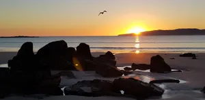 Image of Hawley Beachside Accommodation