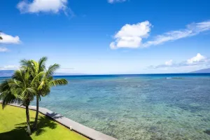 Image of Kahana Reef 318