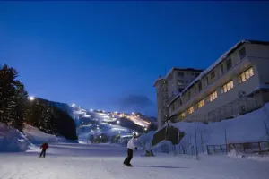Image of Niseko Prince Hotel Hirafutei