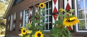 Image of Erve Het Roolvink Boerderij Appartementen 40-50 M2