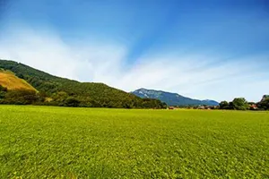 Image of Ferienhaus Balsbergblick