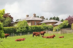 Image of Beautiful 2 Bedroom Barn in Towcester Northants