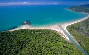 Image of Thornton Beach Bungalows Daintree