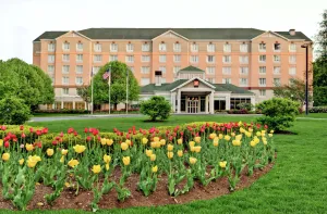 Image of Hilton Garden Inn Albany Airport