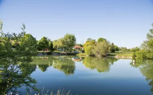 Image of Paradise Chalets and Camping