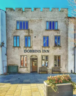 Image of Dobbins Inn