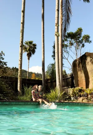 Image of Mt Warning Rainforest Park