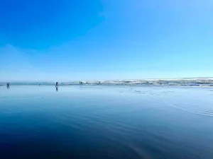 Image of Arena del Mar