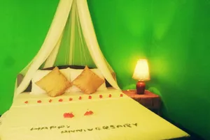 Image of Green Bamboo House