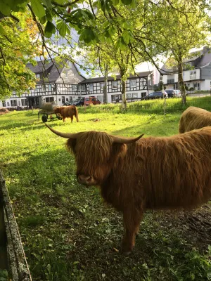Image of Landgasthof Gilsbach