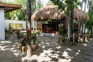 Image of Crazy Bears Hostel